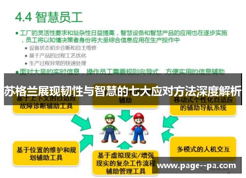 苏格兰展现韧性与智慧的七大应对方法深度解析